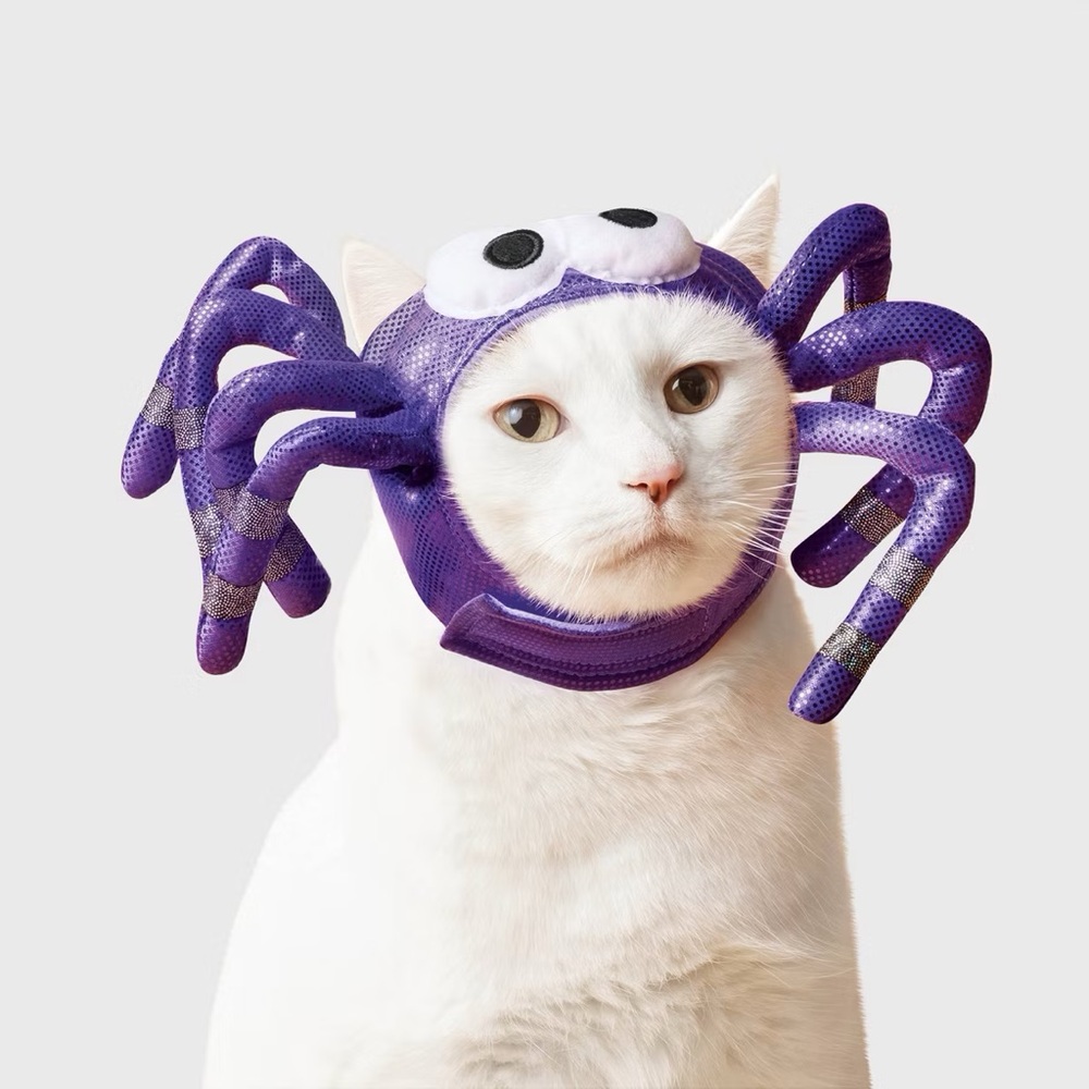 Spider nwt Cat Headpiece Costume - Boots & Barkley Purple One Size Fits Most